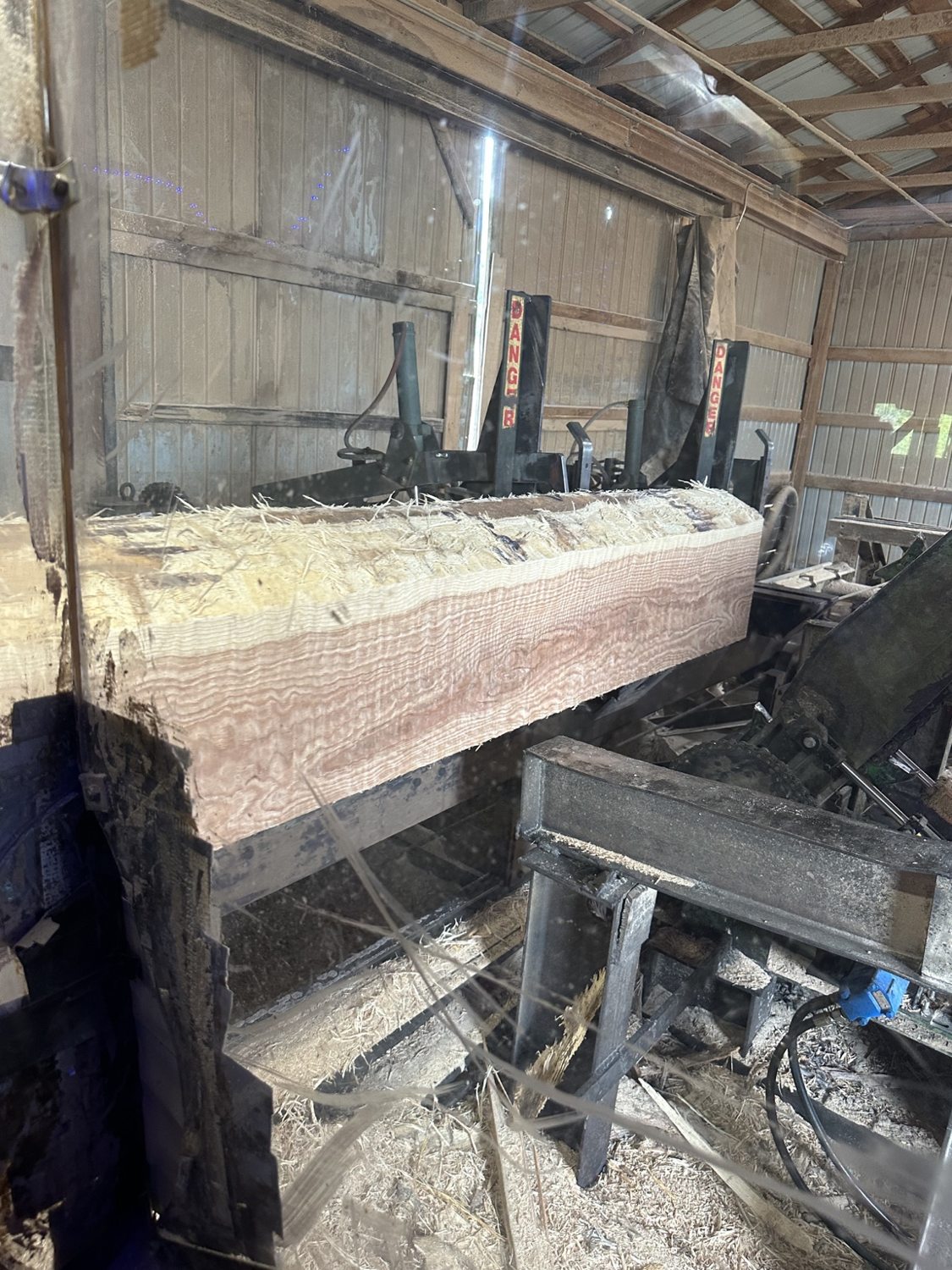 Large freshly sawn timber on sawmill equipment